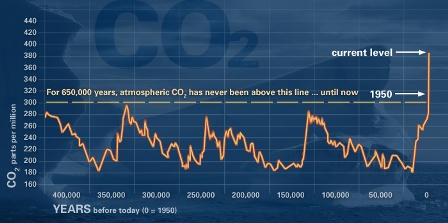 Carbon dioxide fluctuation